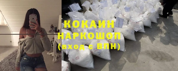 стафф Михайловск