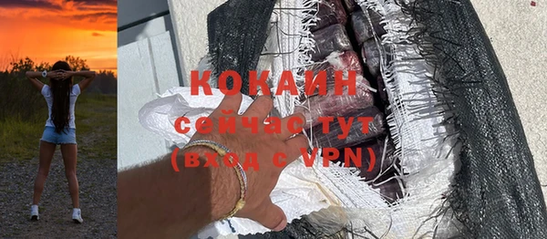 ГАЛЛЮЦИНОГЕННЫЕ ГРИБЫ Михайлов