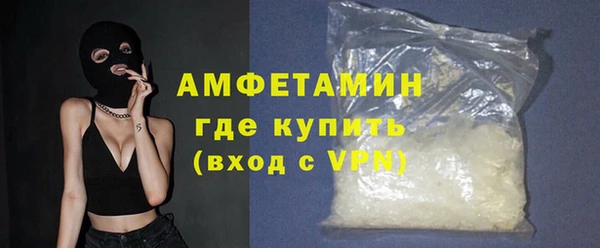 ГАЛЛЮЦИНОГЕННЫЕ ГРИБЫ Михайлов