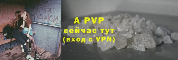 стафф Михайловск