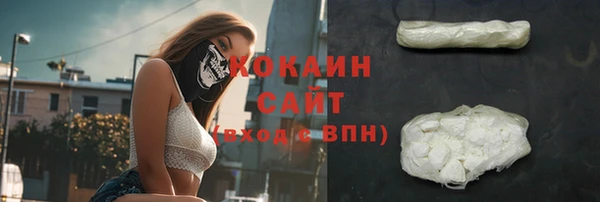 стафф Михайловск