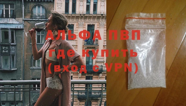 сатива Михайловка