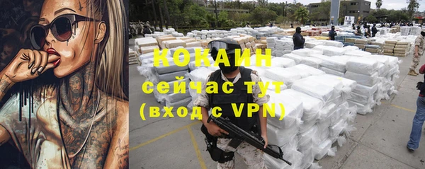 стафф Михайловск