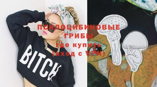 сатива Михайловка