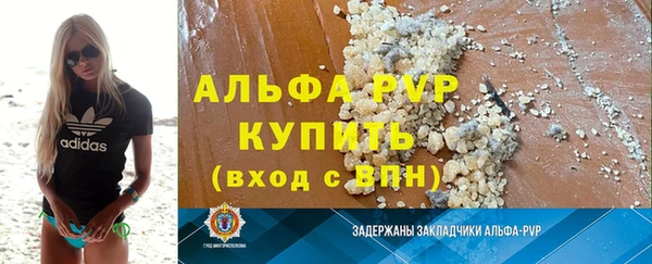 стафф Михайловск