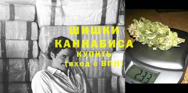 стафф Михайловск