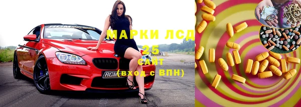 ГАЛЛЮЦИНОГЕННЫЕ ГРИБЫ Михайлов