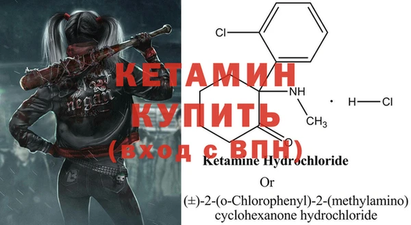 стафф Михайловск
