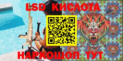 прущие грибы Абакан