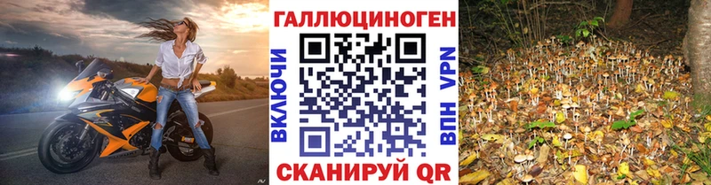 Псилоцибиновые грибы Psilocybe  Алексеевка 