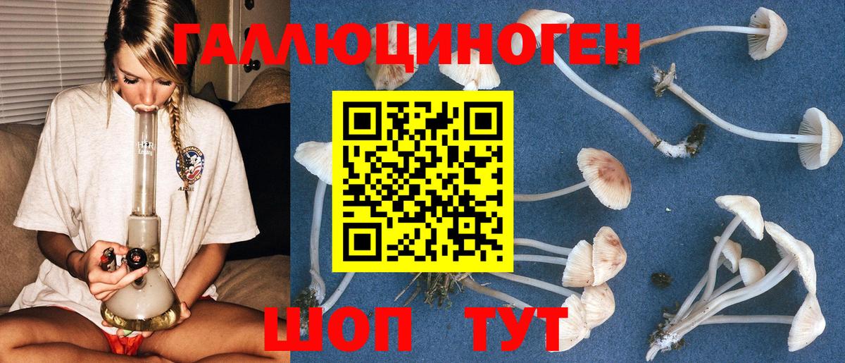 APVP Алексеевка
